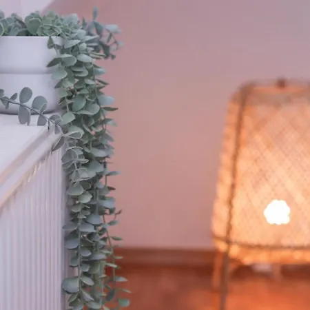 Apartman In The Heart Of With Views Bled