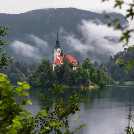 In The Heart Of With Views